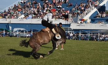 Imagen de la nota: Festival de Doma y Folklore: será en la Sociedad Rural